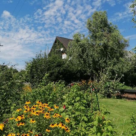 Dziewanna Brzeziniec Exterior foto