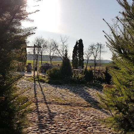 Dziewanna Brzeziniec Exterior foto