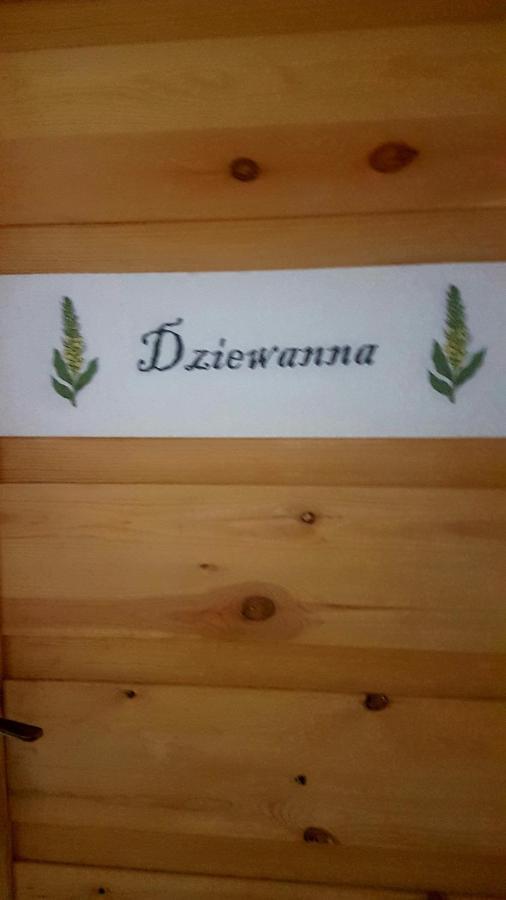 Dziewanna Brzeziniec Exterior foto