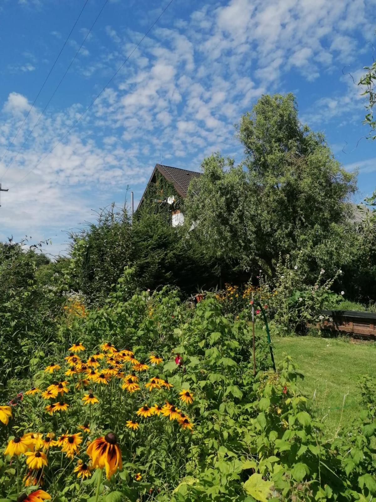 Dziewanna Brzeziniec Exterior foto