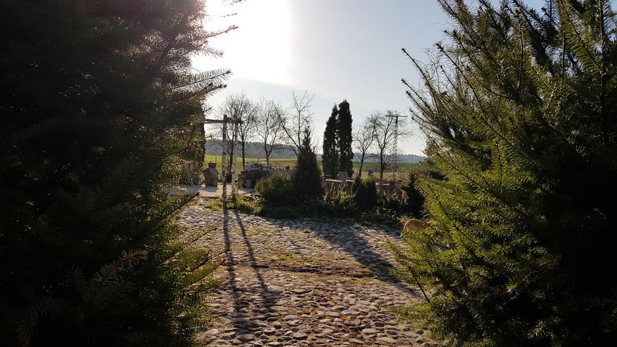 Dziewanna Brzeziniec Exterior foto